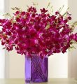 Exotic Breeze Orchids, 15-30 Stems - 30 Stems With Purple Vase