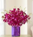 Exotic Breeze Orchids, 15-30 Stems - 15 Stems With Purple Vase