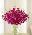 Exotic Breeze Orchids, 15-30 Stems - 15 Stems With Clear Vase