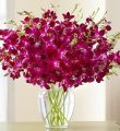 Exotic Breeze Orchids, 15-30 Stems - 30 Stems With Clear Vase