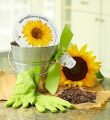 Children's Sunflower Garden Pail