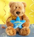 Congratulations Bear From Gund
