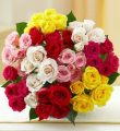 50-100 Blooms Of Assorted Spray Roses
