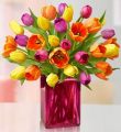 Radiant Tulip Bouquet + Free Vase - 30 Stems With Pink Vase