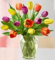 Radiant Tulip Bouquet + Free Vase - 15 Stems With Free Clear Vase