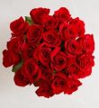 Romantic Red Roses - One & Two Dozen - Two Dozen Bouquet Only