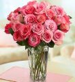 Passion For Pink Roses + Free Vase - 24 Stems With Free Clear Vase