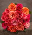 Passionate Sunset Roses
