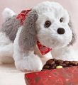 Love Pup With 1 Pound Of Free Chocolates - With 1lb Of Free Chocolate
